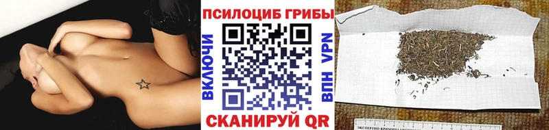 купить наркотики цена  Семикаракорск  Галлюциногенные грибы мицелий 